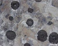  Litina skulikovm grafitem