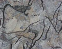 Litina slupnkovm grafitem